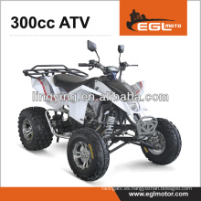 Cuatrimoto 300cc